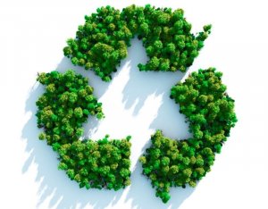Znak recyklingu ułożony z drzew